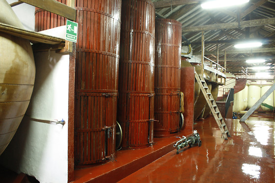 BODEGAS JESUS DIAZ E HIJOS - photo 6
