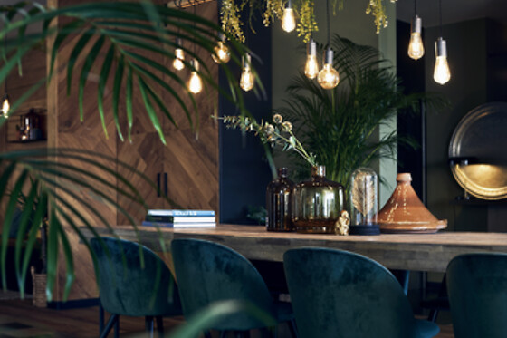 Hotel ZUID - photo 16