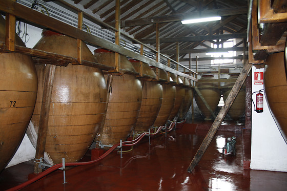 BODEGAS JESUS DIAZ E HIJOS - photo 2