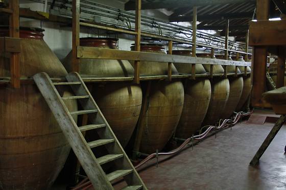 BODEGAS JESUS DIAZ E HIJOS - photo 8