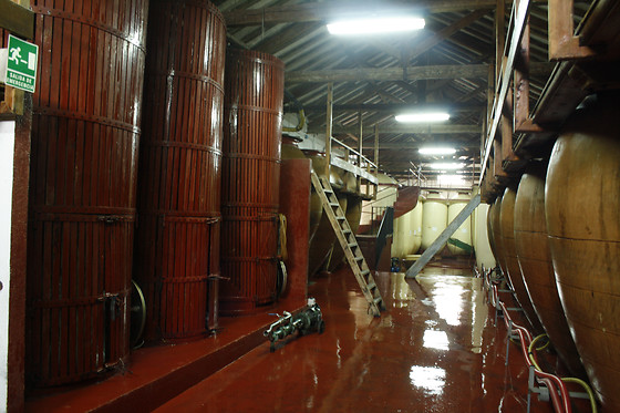 BODEGAS JESUS DIAZ E HIJOS - photo 5