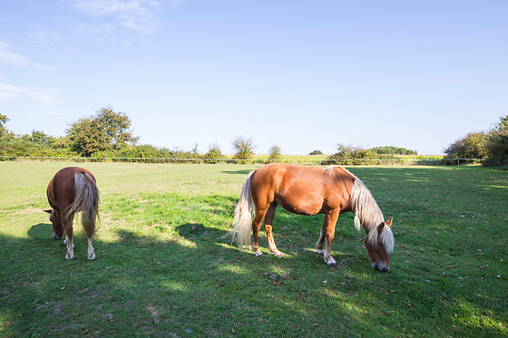 Le Logis de la Lande - photo 7