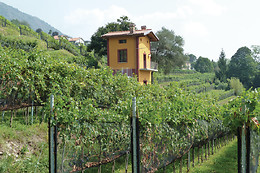 Cantina Cavallini