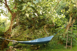 COOKING AND NATURE - THE NEST