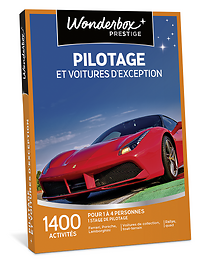 Pilotage et voitures d'exception