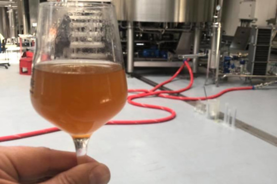 Dégustation de bière pour 2 à la Brasserie des 3 Provinces à Sombreffe (Namur)