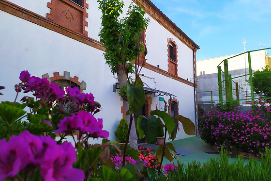 HOTEL RURAL SOTERRAÑA - photo 26