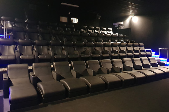 Cinéma Wellington - photo 10