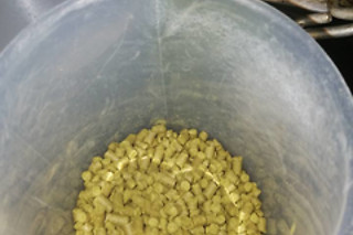 Visite de la brasserie et dégustation pour 2 à la Brasserie de Jandrain-Jandrenouille (Brabant wallon)