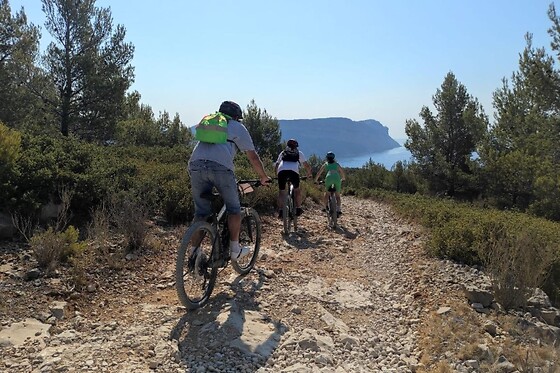 Trolib Cassis - photo 0