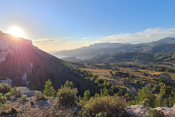 Trolib Cassis - photo 1