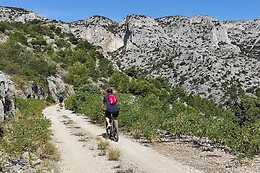Trolib Cassis