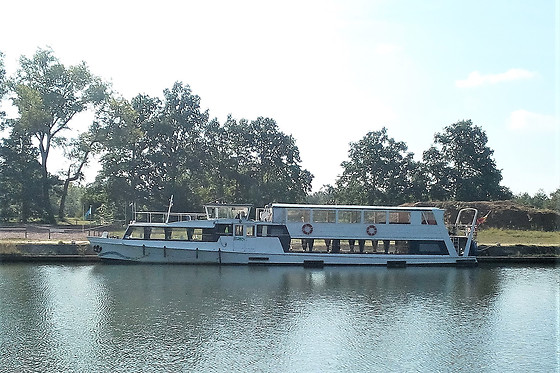 Zander - photo 5