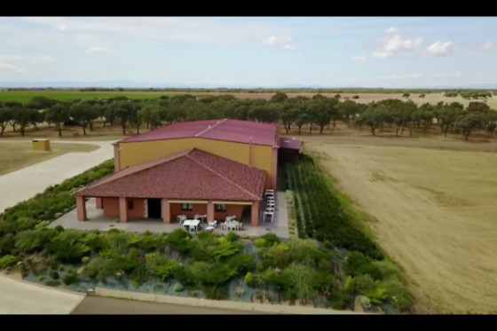 VILE LA FINCA - photo 19