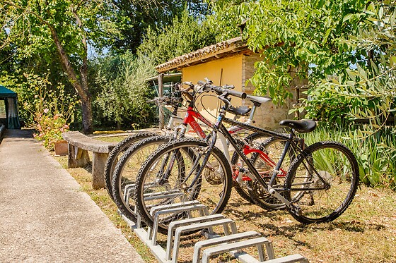 Agriturismo La Mora - photo 2