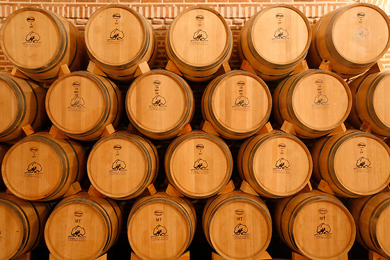 BODEGAS Y VIÑEDOS CASTIBLANQUE - photo 3