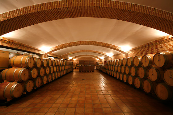 BODEGAS Y VIÑEDOS CASTIBLANQUE - photo 5
