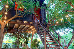 NATURE TREE HOUSE