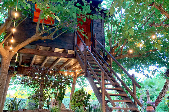 NATURE TREE HOUSE - photo 0