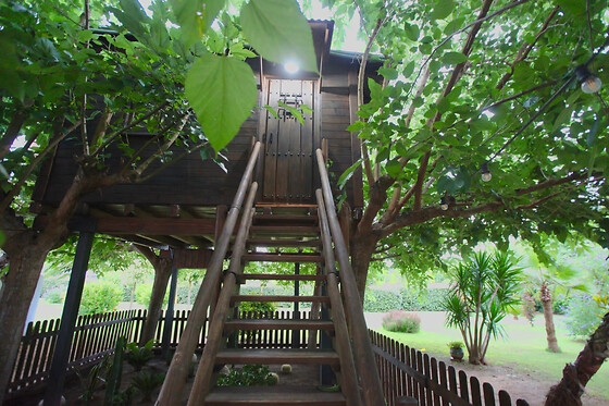 NATURE TREE HOUSE - photo 1