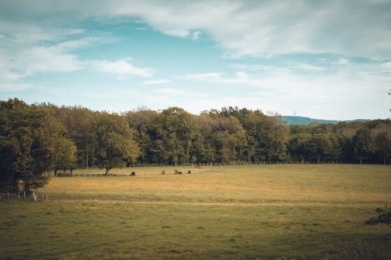 Gîte Coeur de Nature - photo 4