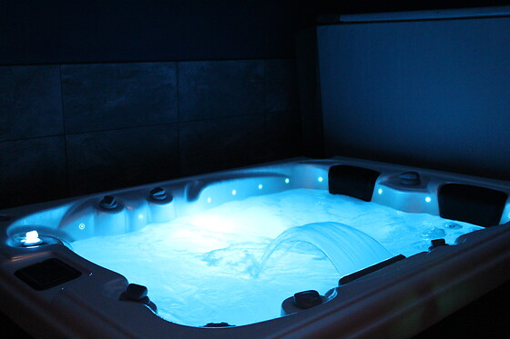 Le Clos des iris 85 - photo 9