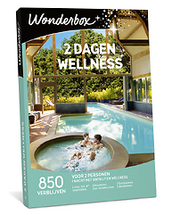 2 dagen wellness