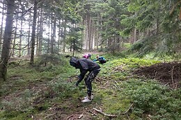 Alpha Survie