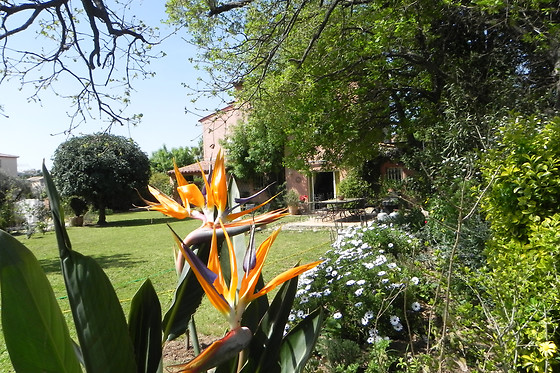 Le clos des vignes - photo 16