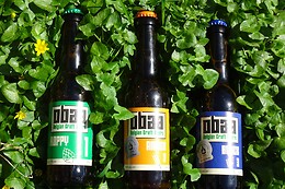 OBAA Belgian Craft Beer
