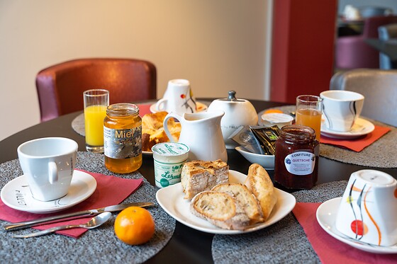 Brit Hotel Belfort Centre – Le Boreal - photo 17