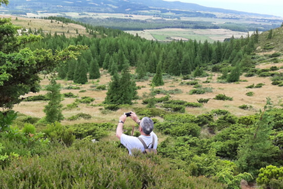 Azores Nature Tours - photo 24