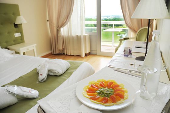 Hôtel Château les Dryades - photo 17