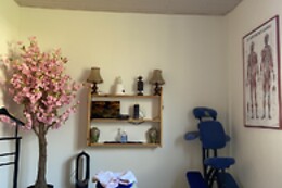 Janusz Massage