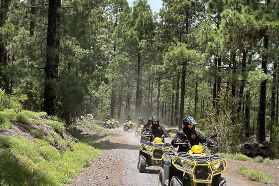 QUAD EXCURSIONS TENERIFE - photo 9