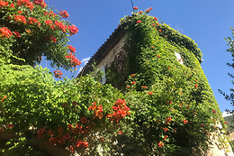 Chambre d'hôtes La Destinée