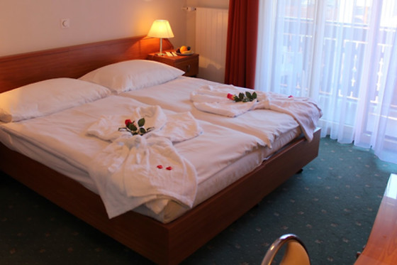 Hotel Elite Zermatt AG - photo 4