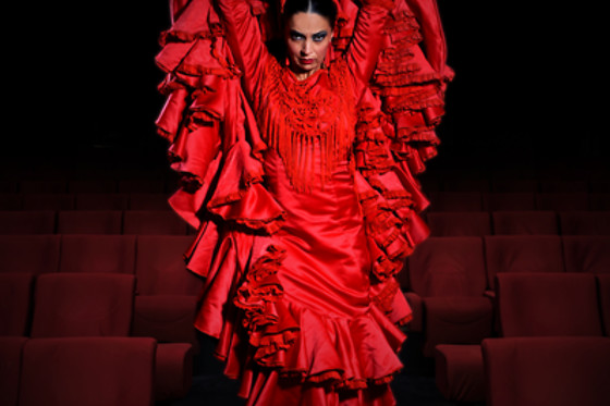 TEATRO FLAMENCO MADRID - photo 7