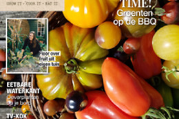 Vipmedia Publishing & Services