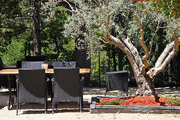 Le jardin de Célina