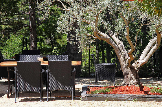 Le jardin de Célina - photo 9
