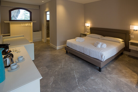 Airne Wellness Hotel - photo 4