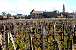 Vinotaste