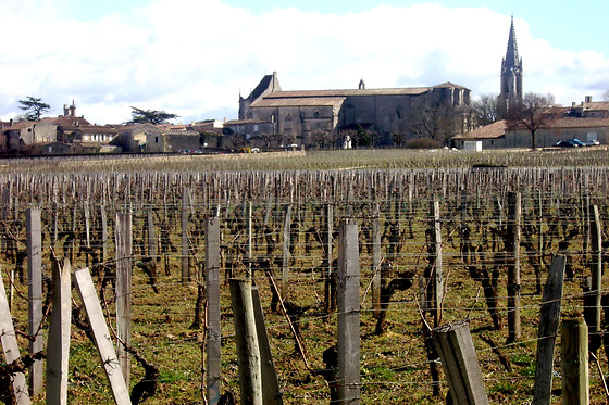 Vinotaste - photo 10