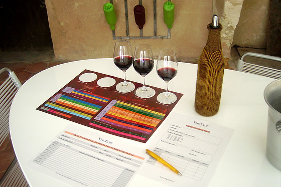 Vinotaste - photo 9