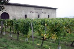 Vinotaste