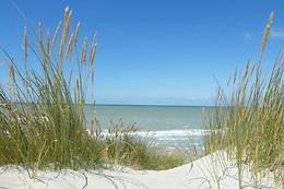 Auberge de la Dune