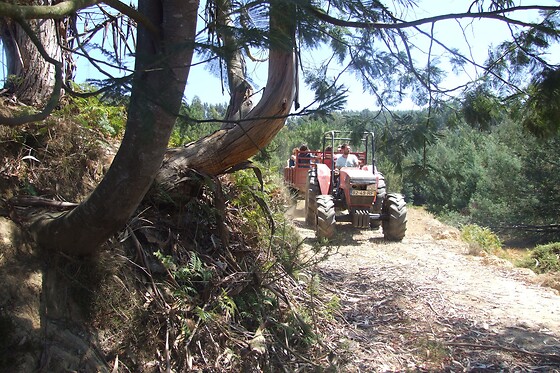 Vumba Agroturismo - photo 9