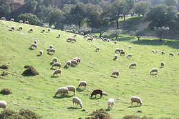 Vumba Agroturismo