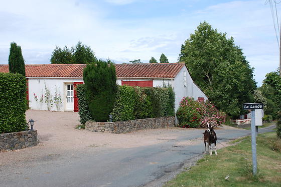 Le Logis de la Lande - photo 18